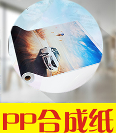 寫真噴畫-PP合成紙